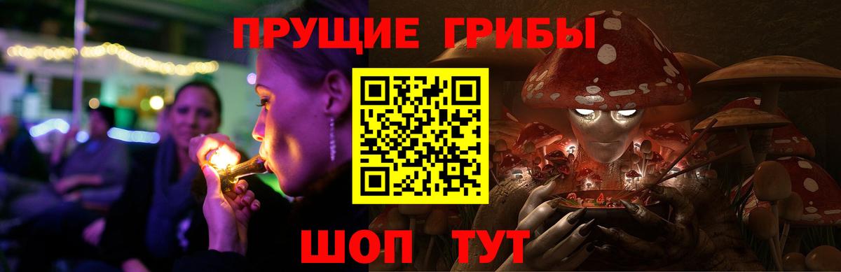 Александров  Галлюциногенные грибы мицелий  где купить наркотик  Вход с VPN 